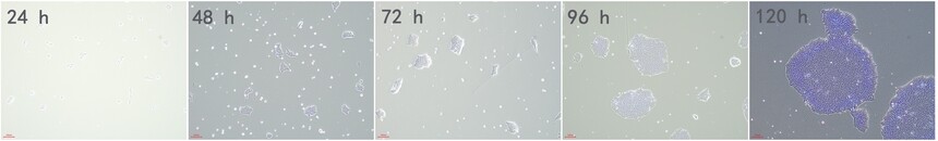 1754023444620139.jpg H9-P20_1d-5d_0723_153309.jpg