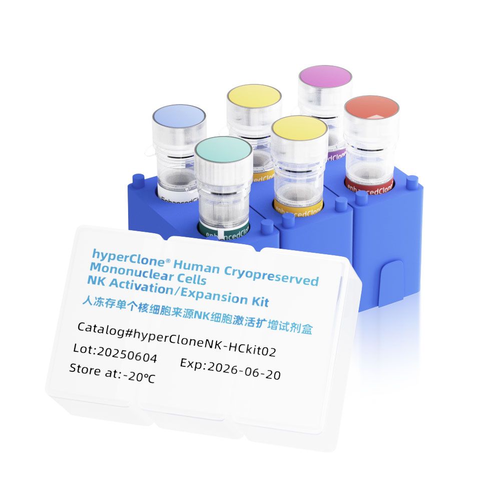 kit02人冻存单个核细胞来源NK细胞激活扩增试剂盒