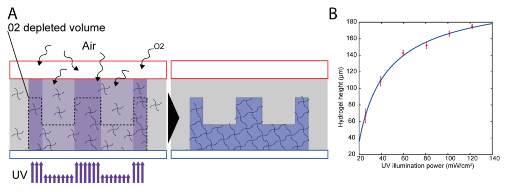 第六届活细胞与超高分辨成像高级研讨会精彩回顾