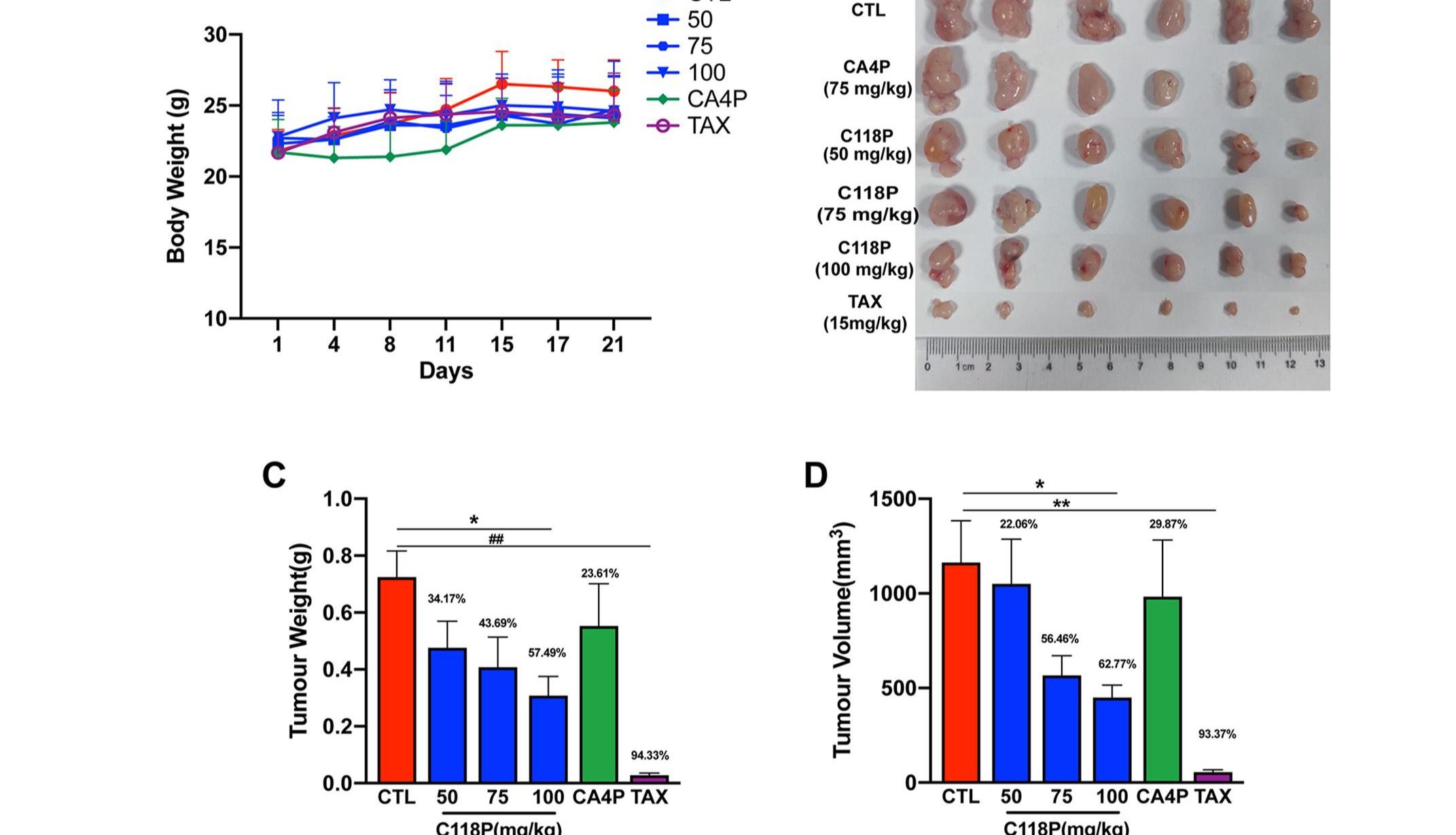 文献解读|ScienceDirect——一种具有抗血管生成和血管破坏活性的新型微管抑制剂C118P，对肝细胞癌具有抗肿瘤效果
