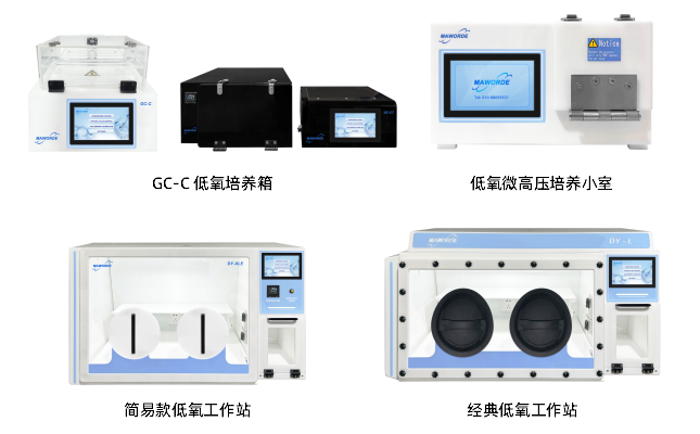 文献解读——缺氧与肺肿瘤类器官相关研究
