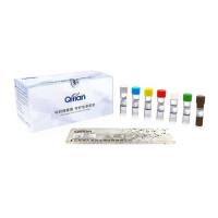 RAA 核酸扩增试剂盒（荧光法）