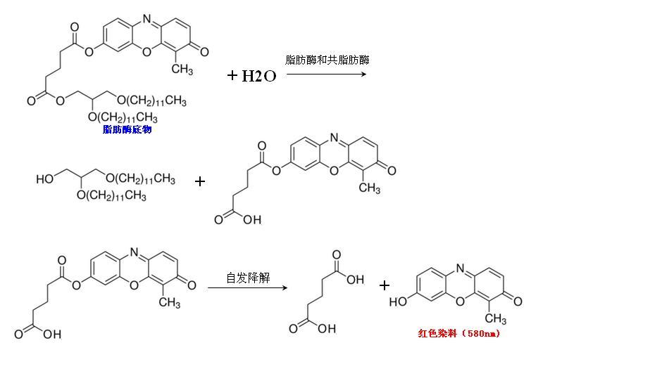 新闻图片2