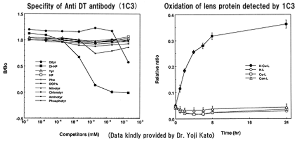 艾美捷抗地胆氨酸（DT）单克隆抗体现货促销，性价比之选！