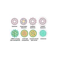 负载苯妥英钠的脂质体被冰 片修饰 PHT@Liposome-BO