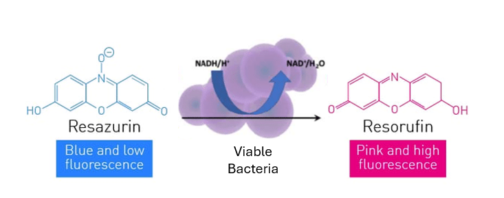 在毒液中筛选新型抗生素以对抗金、黄、色、葡、萄、球、菌