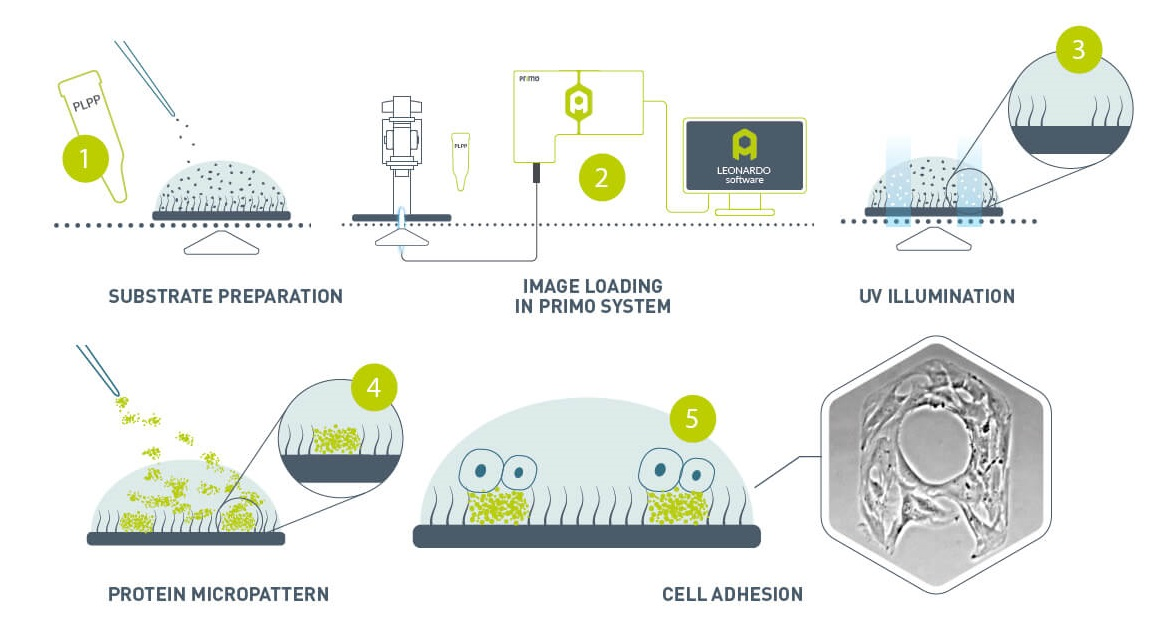 第六届活细胞与超高分辨成像高级研讨会精彩回顾