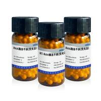 RAA/RT-RAA酶冻干球（荧光法）