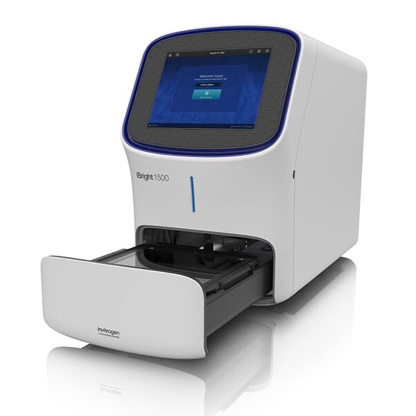 iBright™ FL1500 成像系统