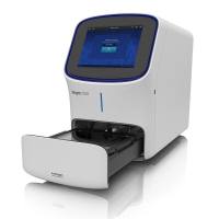 iBright™ FL1500 成像系统