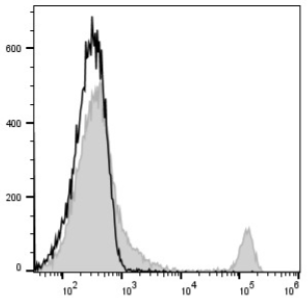 PE Anti-Mouse CD8a Antibody流式抗