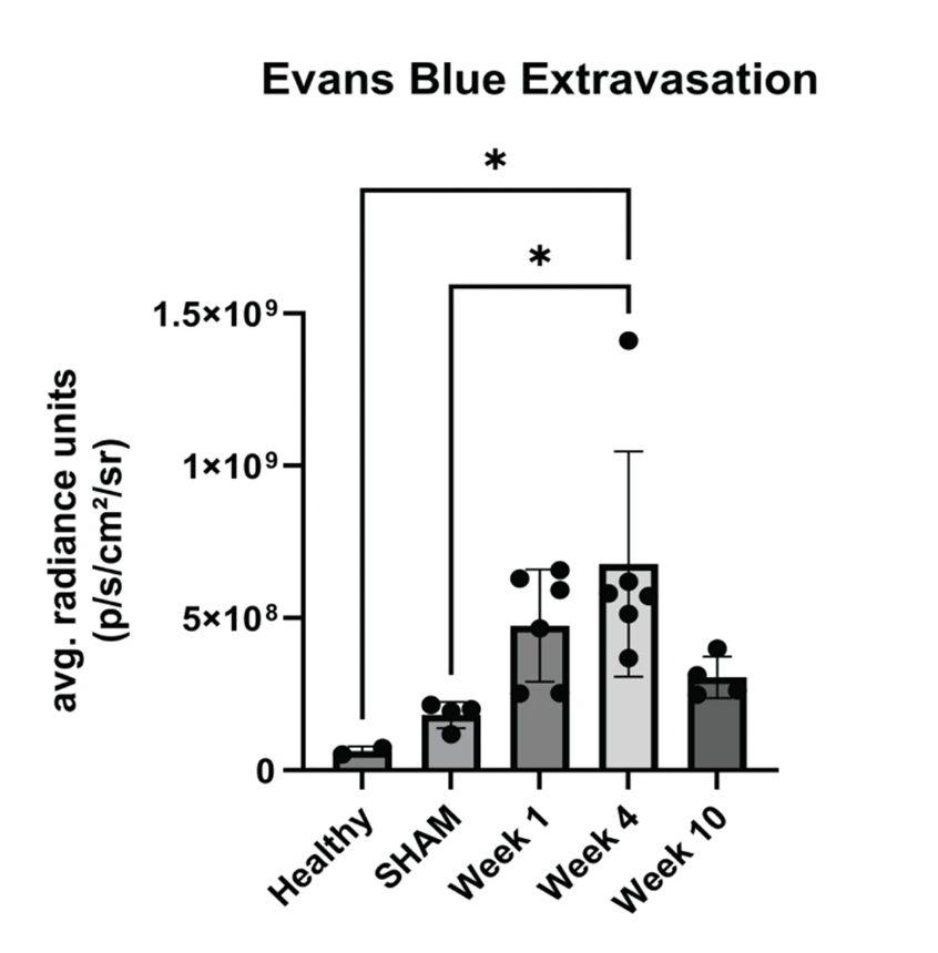 香港大学科研团队发表在Stem Cell Research &amp; Therapy上名为 “A preclinical study on cell therapy as an adjunct to surgical decompression in degenerative cervical myelopathy via accelerating blood spinal cord barrier reconstitution and neurological recovery”