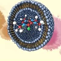 负载秋水仙碱和罗丹明B的脂质体被冰 片修饰 colchicine/RB@Liposome-BO