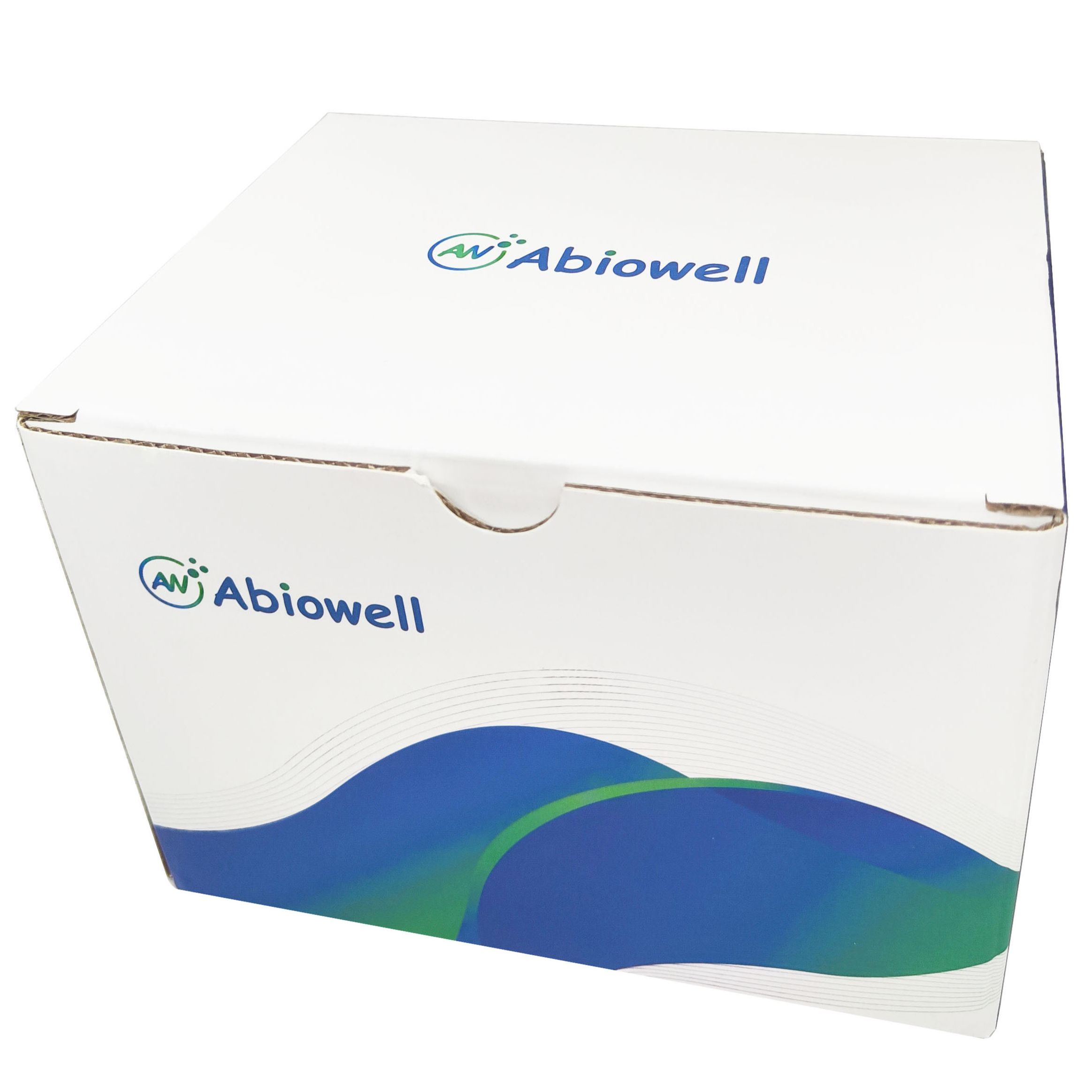 PR(Phospho Ser400) Rabbit Polyclonal Antibody