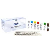 RAA核酸扩增试剂盒（电泳法）