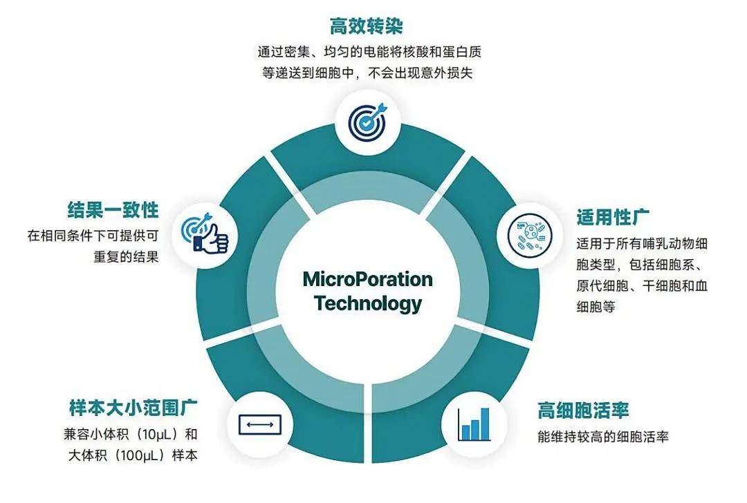 韩国ExTransfection快速细胞电转仪