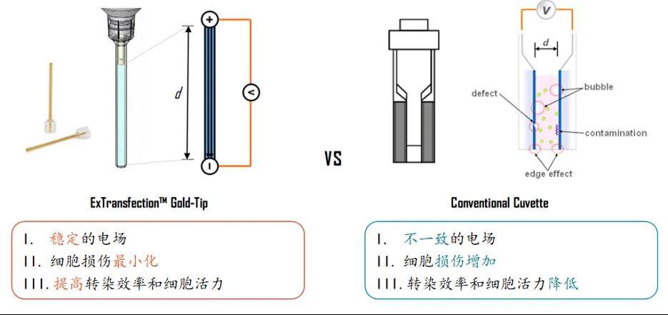 韩国ExTransfection快速细胞电转仪