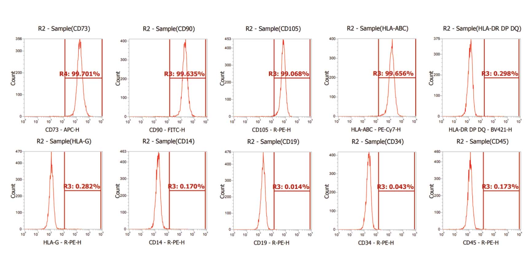 间充质干细胞无血清培养基