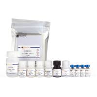 Human IL-11 ELISA Kit