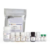 Human IL-4 ELISA Kit (High-sensitive)