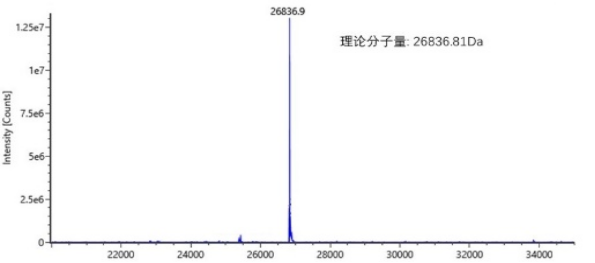 Pannarase全能核酸酶