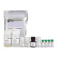 Mouse Periostin/OSF-2 ELISA Kit