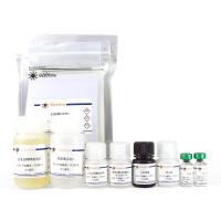 Human C3a ELISA Kit