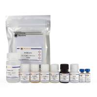 Human IFN-β ELISA Kit