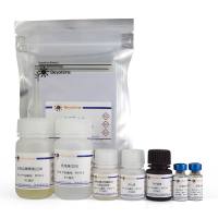 Rat IgA ELISA Kit