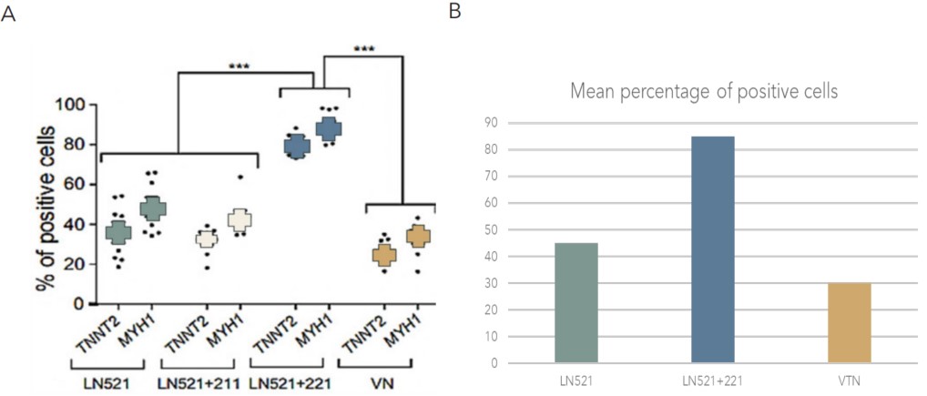 流式细胞术检测不同底物策略下CMs的分化标志物阳性率及CMs分化比例量化图