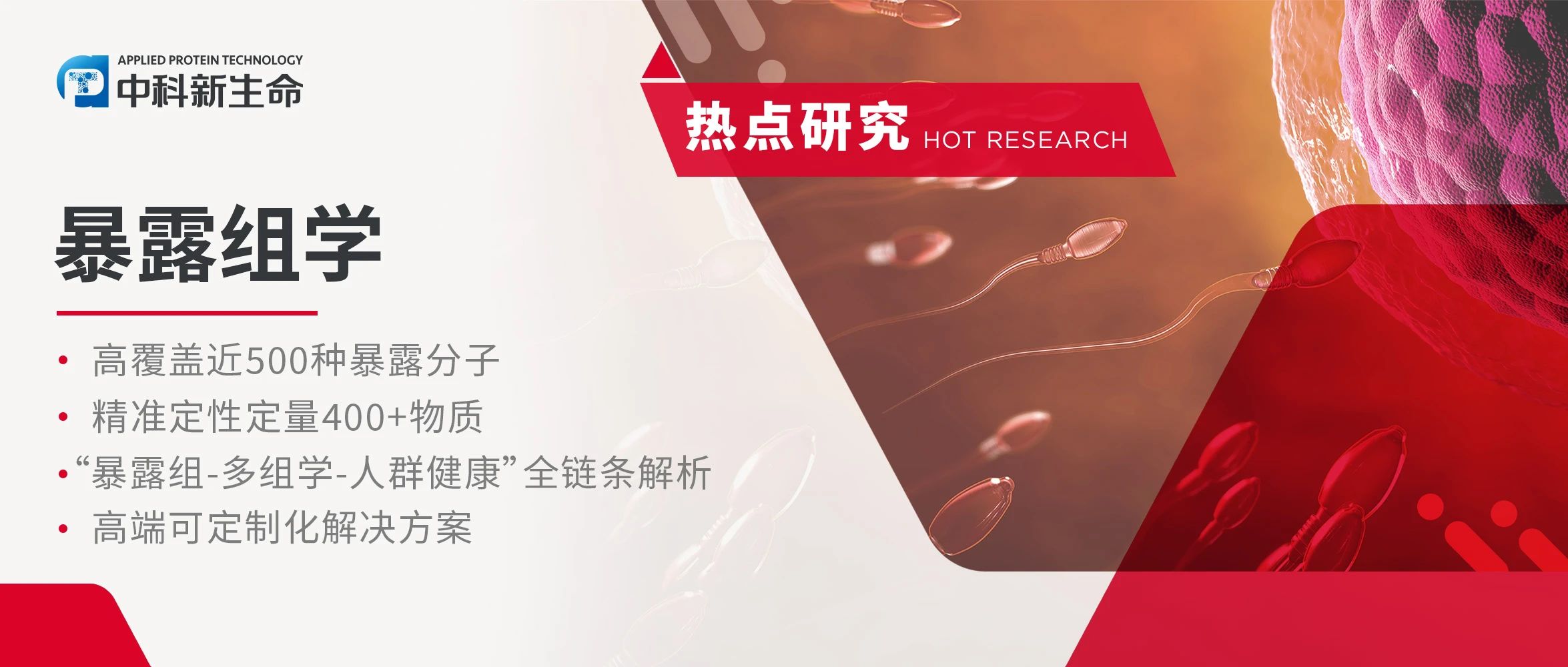 Adv Sci | 不粘锅暗藏生育刺客？黄荷凤院士团队揭示微塑料导致男性精子质量下降机制并发现‘牛奶外泌体’或可修复生育力！