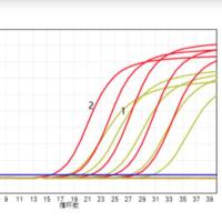NovoStart® Universal Fast SYBR qPCR SuperMix