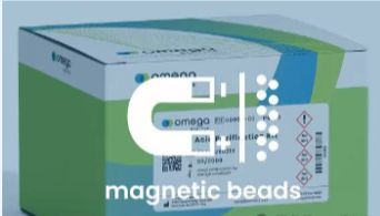 突发高热+全身疼痛？警惕基孔肯雅热感染｜Omega助力自动化高效检测