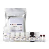 Human IL-6 ELISA Kit (High-sensitive)