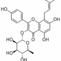 宝藿苷II；大花淫羊藿苷A；意卡瑞苷A