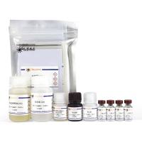 Mouse IgM ELISA Kit