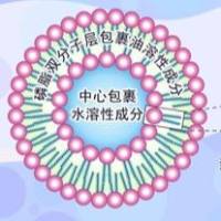 用于慢性淋巴细胞白血病靶向治疗的抗CD20 scFv 修饰紫杉醇脂质体