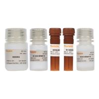 Dual Luciferase Reporter Gene Assay Kit 双荧光素酶报告基因检测试剂盒