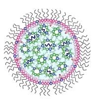 阳离子脂质体包载蛋白酶K和视黄酸 LNP@RA/Proteinase K