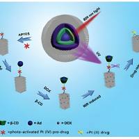 负载葛根素和二氢丹参酮I的超顺磁性氧化铁纳米颗粒被叶酸修饰 DHT I/Puerarin@USPIO-FA