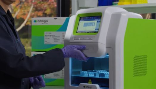 藏在实验室里的"健康密码"：无内毒素质粒如何改写生命科学未来？