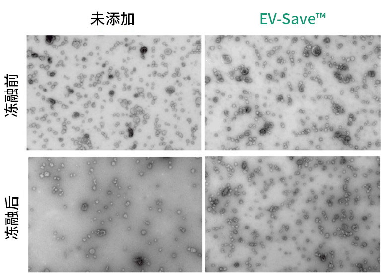 1317550643595457.jpg 1317550643595457.jpg