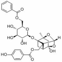 苯甲酰氧化芍药苷