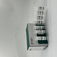 ADAMTSL5基因过表达细胞株