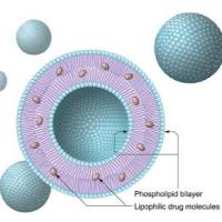 SH-PEG-MMP2可降解多肽   SH-PEG-GPLGIAGQ   MMP2敏感肽-聚乙