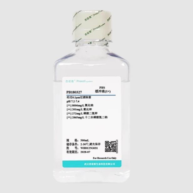 磷酸盐缓冲液 (PBS) 1×