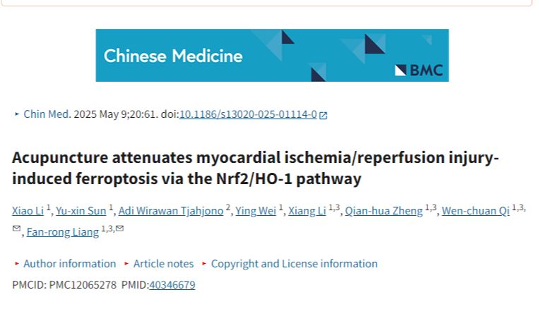 Chinese Medicine|成都中医药大学团队针刺通过 Nrf2/HO-1 通路减轻心肌缺血 / 再灌注损伤诱导的铁死亡