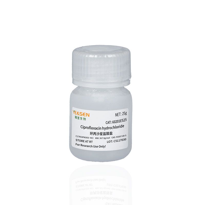 环丙沙星盐酸盐