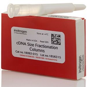 cDNA分级分离色谱柱，每个 2 mL 塑料色谱柱包含 1 mL Sephacryl™ S-500 HR 树脂