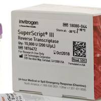 SuperScript III反转录酶，SuperScript RT 是高度值得信赖和广泛使用的 RT